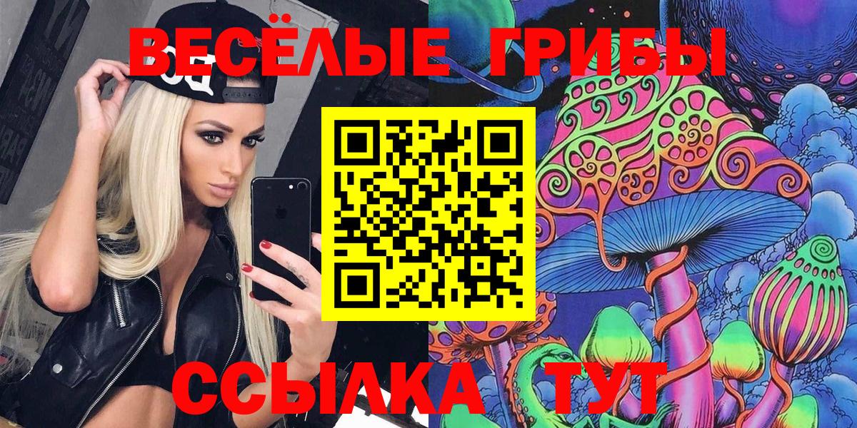 Галлюциногенные грибы ЛСД  закладки  Псилоцибиновые грибы Psilocybine cubensis  Ставрополь  Вход с VPN 